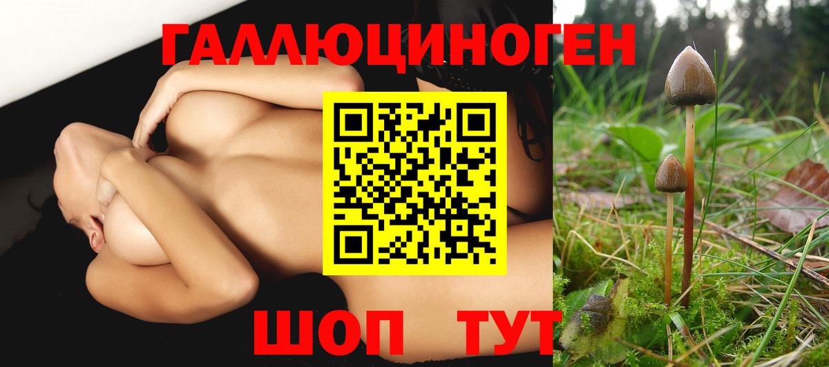 Галлюциногенные грибы прущие грибы  Галлюциногенные грибы мицелий  Вход с VPN  закладка  Осинники 